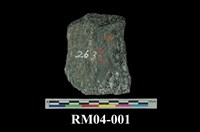 藏品(角閃片麻岩)的圖片